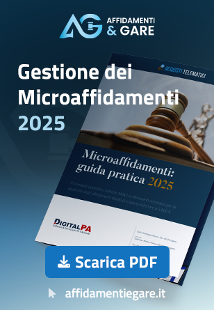 Scarica guida gratuita microaffidamenti 2025
