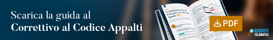 scarica-guida-correttivoappalti-2025-pdf-gratuito