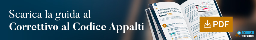 Correttivo Codice Appalti guida PDF gratuita RUP