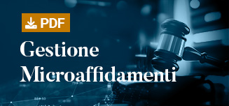 Come gesire i microaffidamenti sotto i 5000 euro - guida pratica DigitalPA