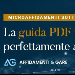 Microaffidamenti sotto i 5.000 euro: la guida pratica in PDF per una gestione perfettamente a norma